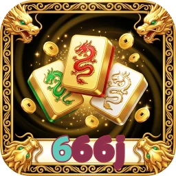 666j